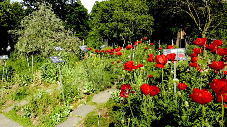 Botanische Gärten