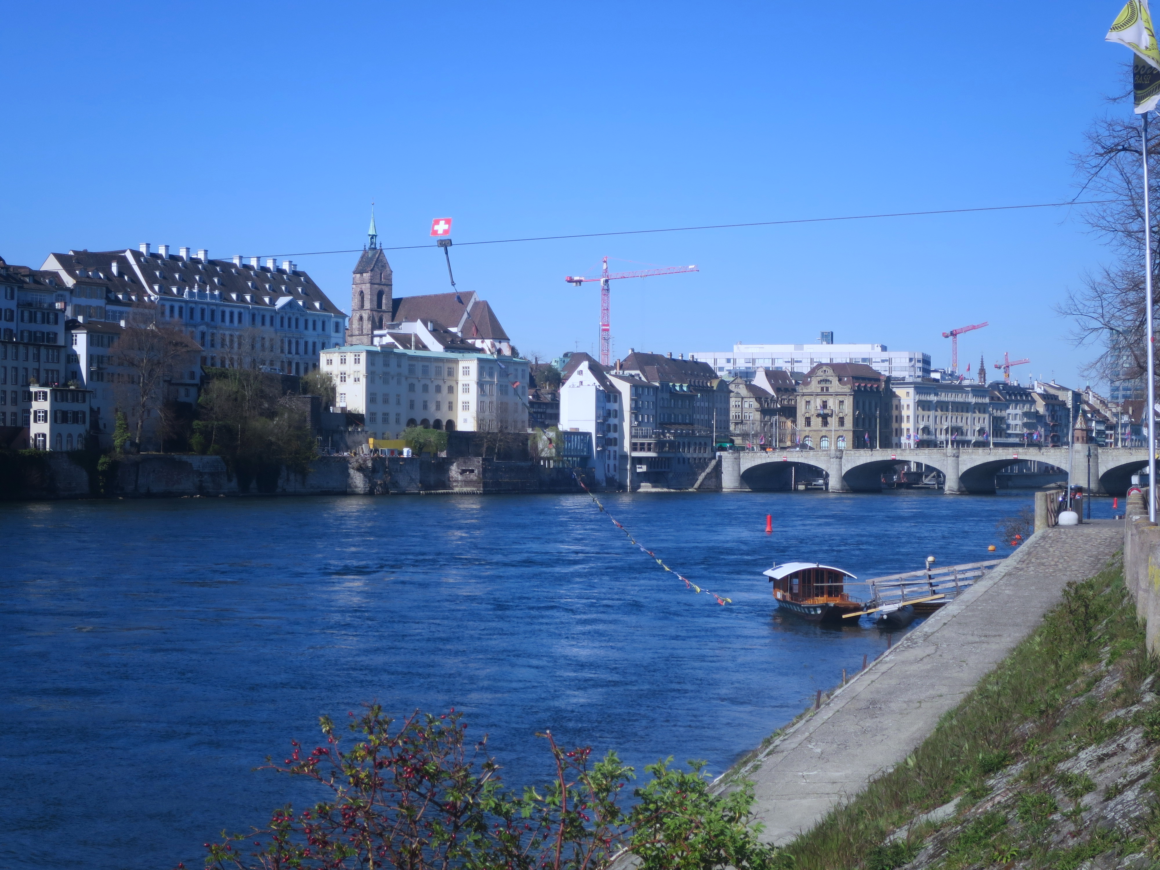 Mit der Fähre über den Rhein gondeln